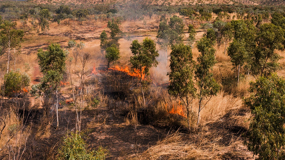 Fire Country