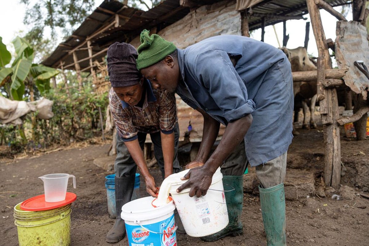 medium-HANDINHAND4_TANZANIA_2023_015.jpg
