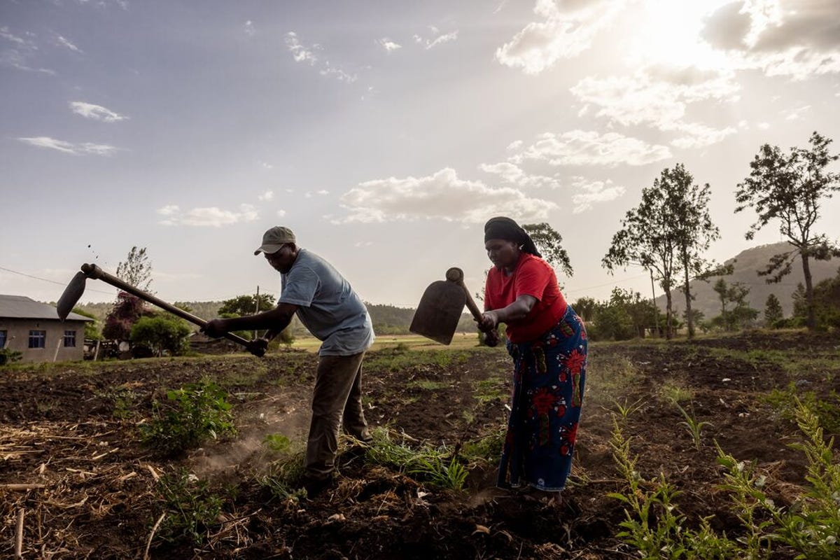 medium-HANDINHAND1_TANZANIA_2023_060.jpg