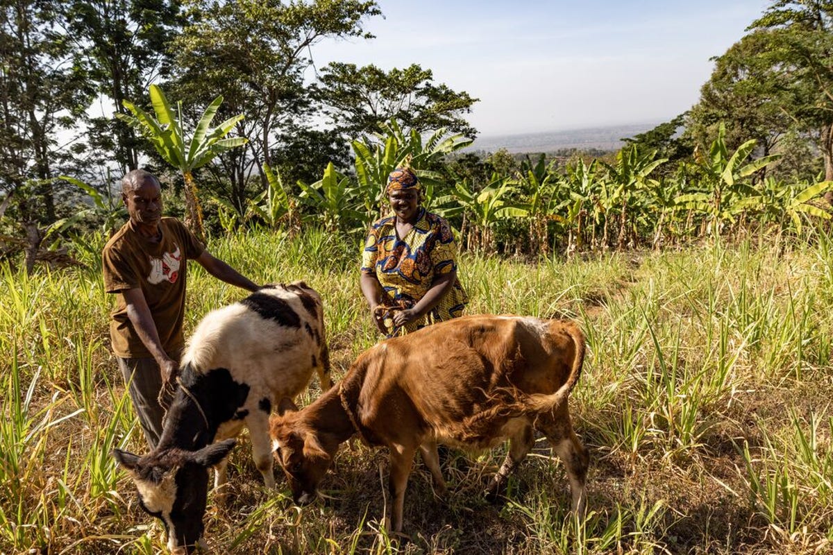 medium-HANDINHAND3_TANZANIA_2023_(2).jpg