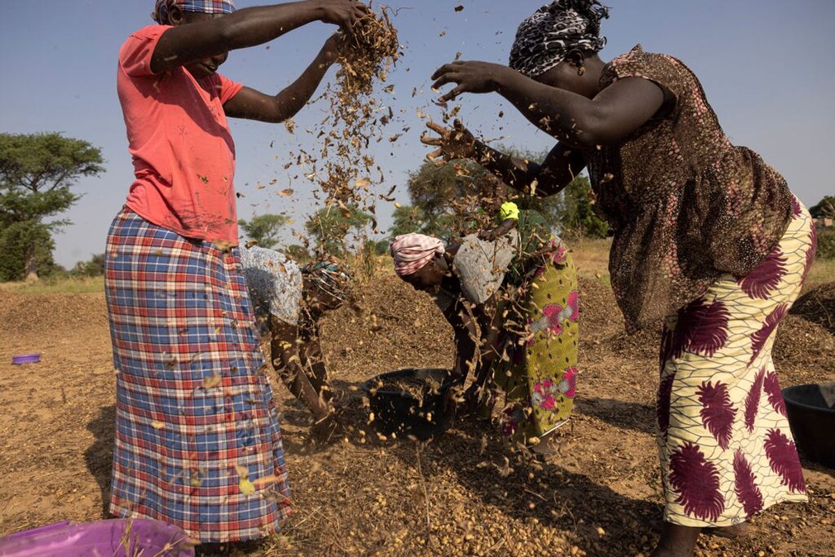 medium-myAgro_SENEGAL_2021_19.jpg