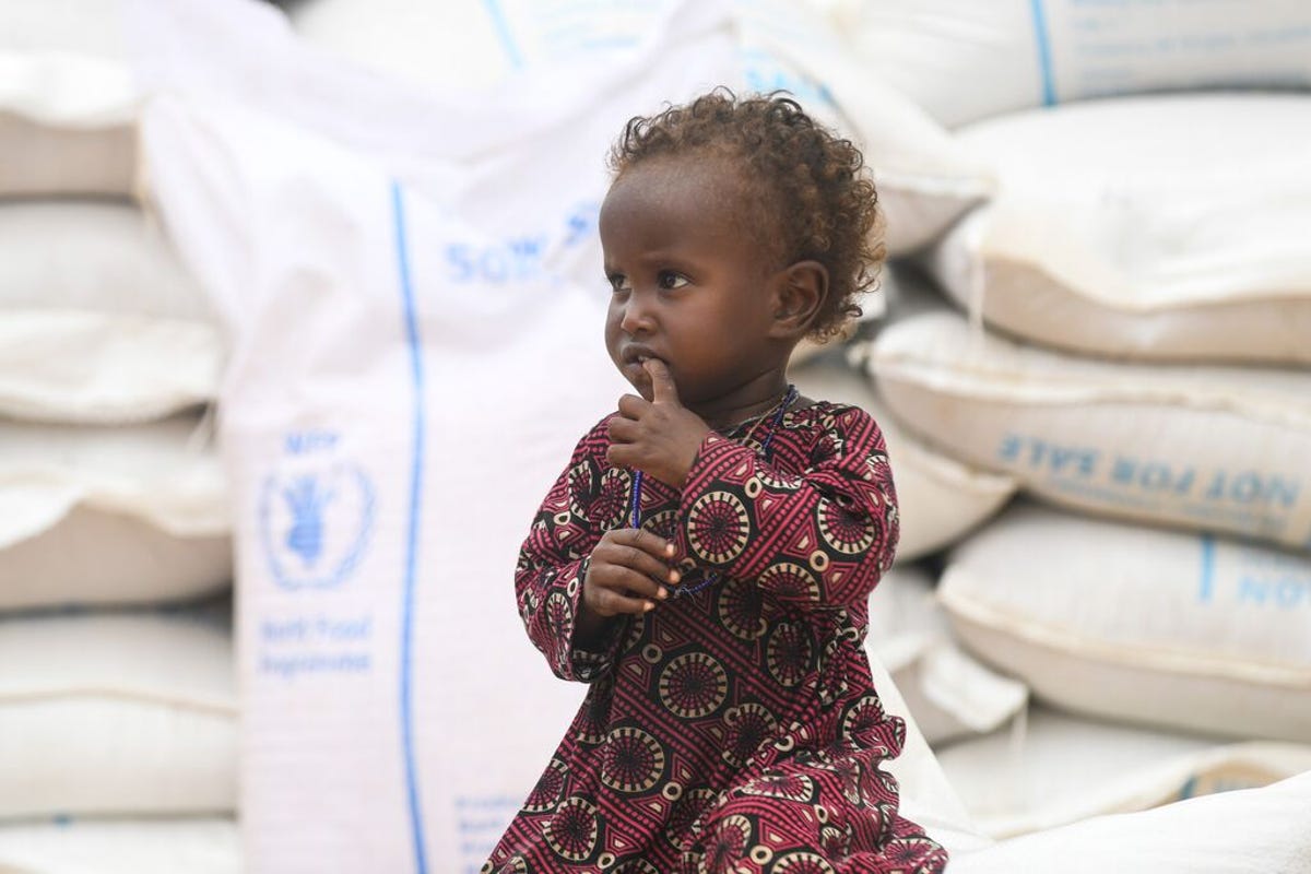 medium-WFP_HORNOFAFRICA_2023_3.jpg