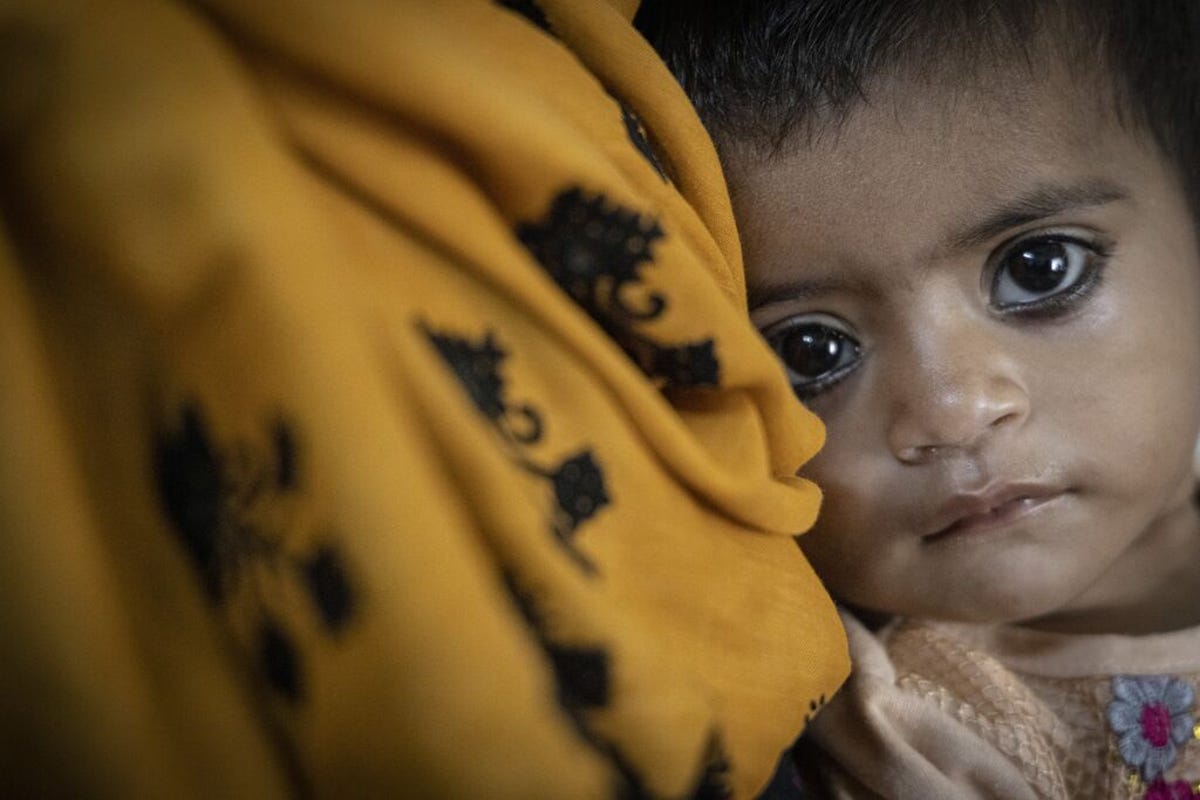 medium-WFP_PAKISTAN_2022_3.jpg