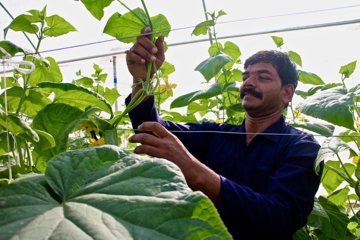 medium-KHEYTI_INDIA_2018-2022_094.jpg