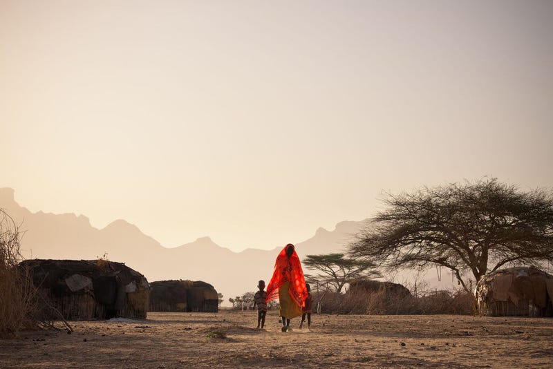 Annual_Report_2019-2020_1000x667.jpg