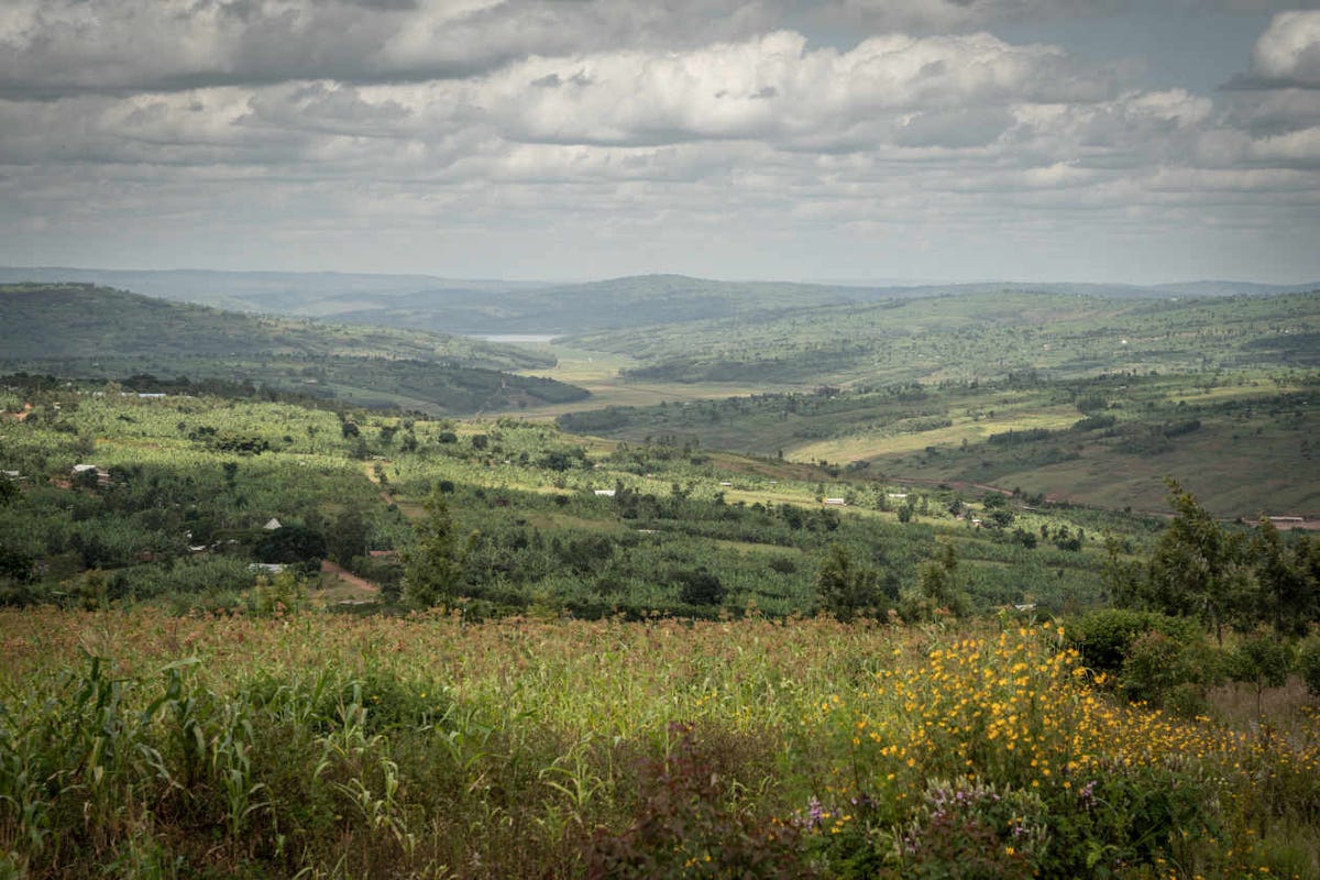 Single Photo - One Acre Fund view