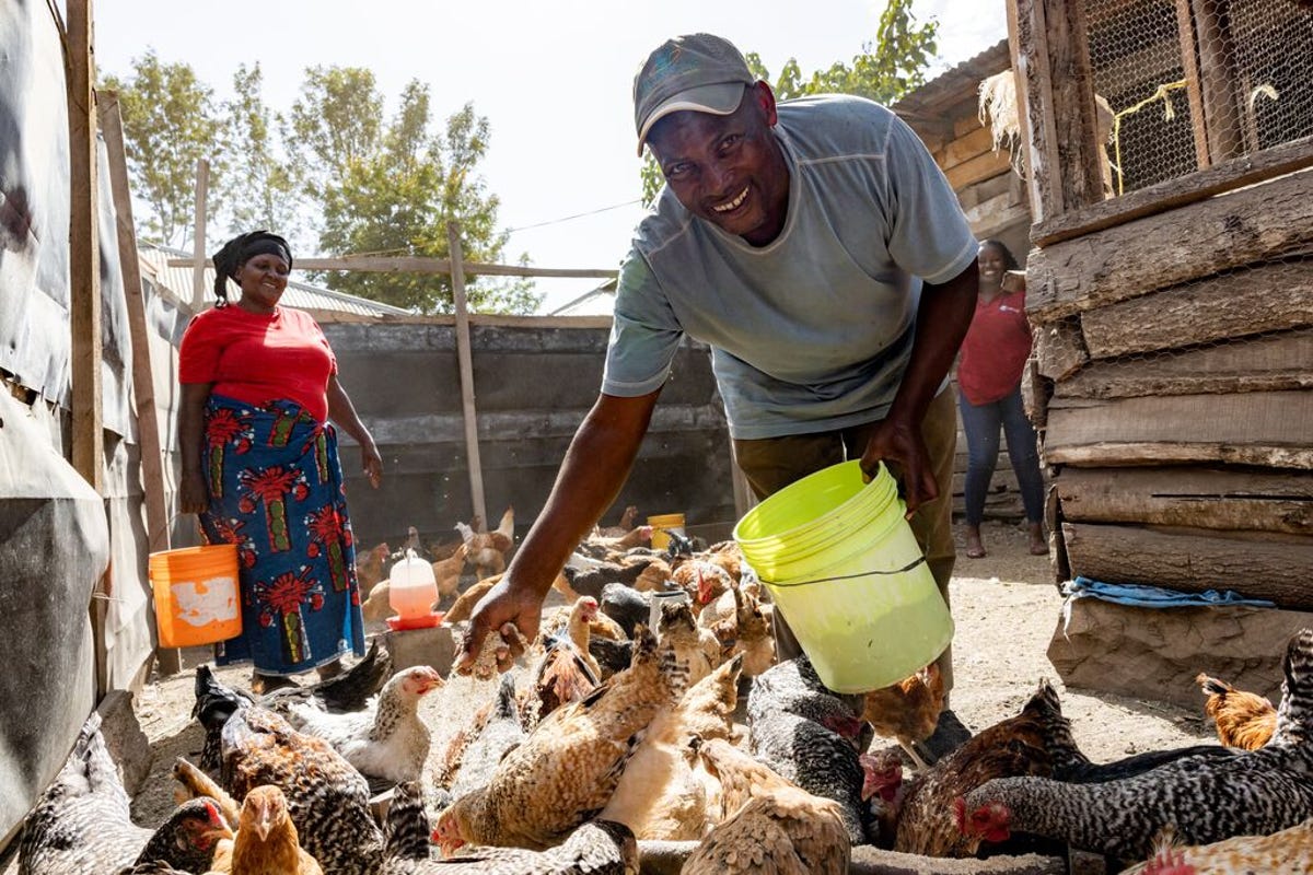 medium-HANDINHAND1_TANZANIA_2023_001.jpg