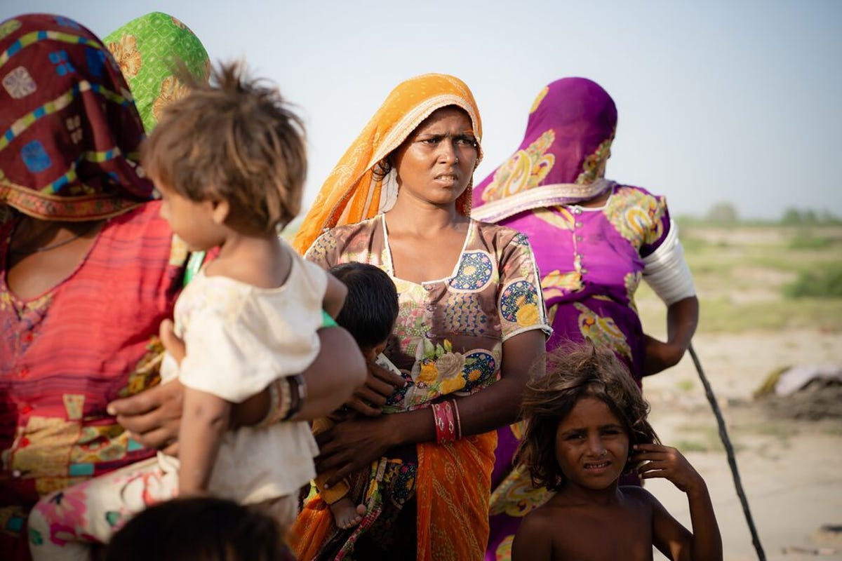 medium-WFP_PAKISTAN_2022_6.jpg