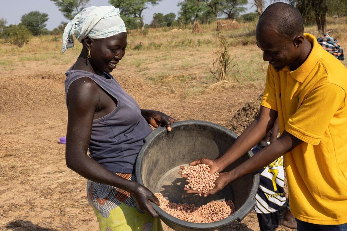 medium-myAgro_SENEGAL_2021_35.jpg