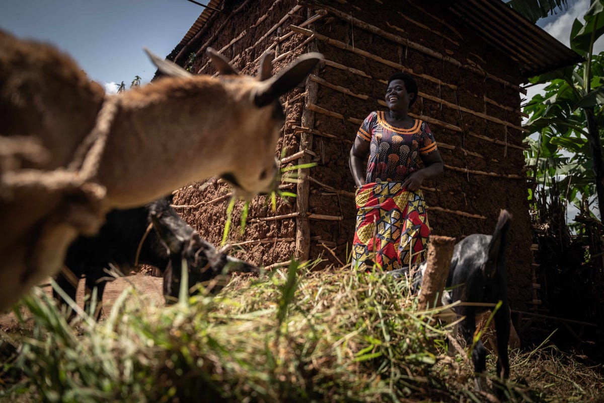 lemonde-rwanda-agriculture-wohlfahrt.jpg