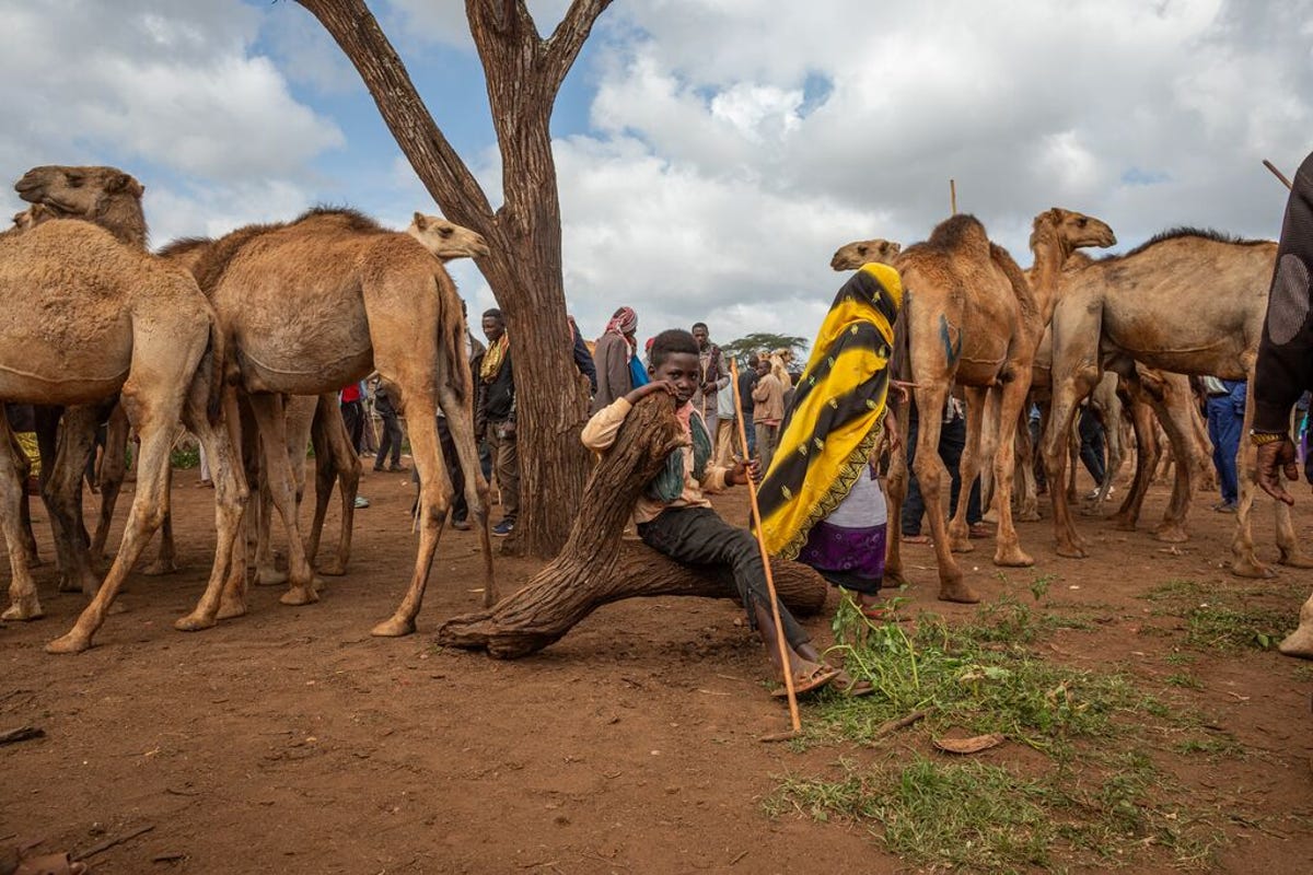 medium-BOMA_ETHIOPIA_2023 157.jpg