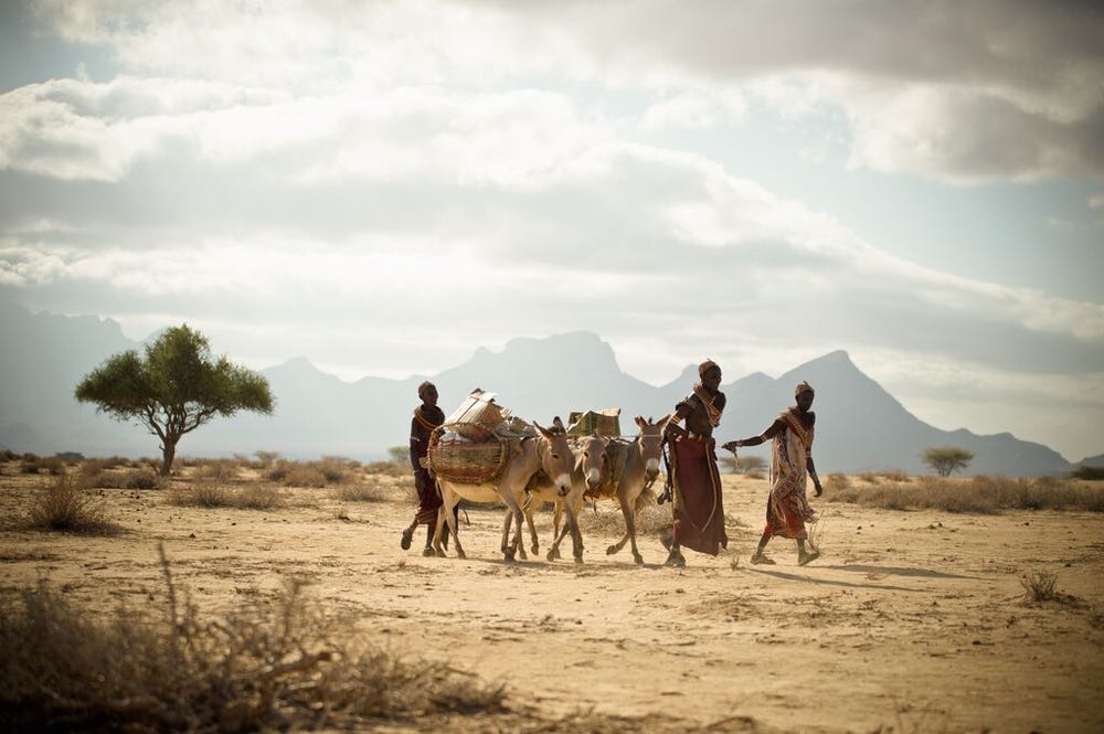 medium-BOMA_KENYA-2019-2024.jpg