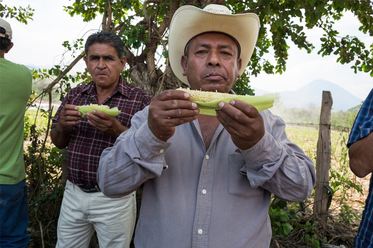 Slideshow-Semilla-Nueva-More-nutritious-tortillas-05.jpg