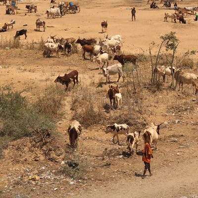 Header-card-Medair-Responding-to-famine-01.jpg