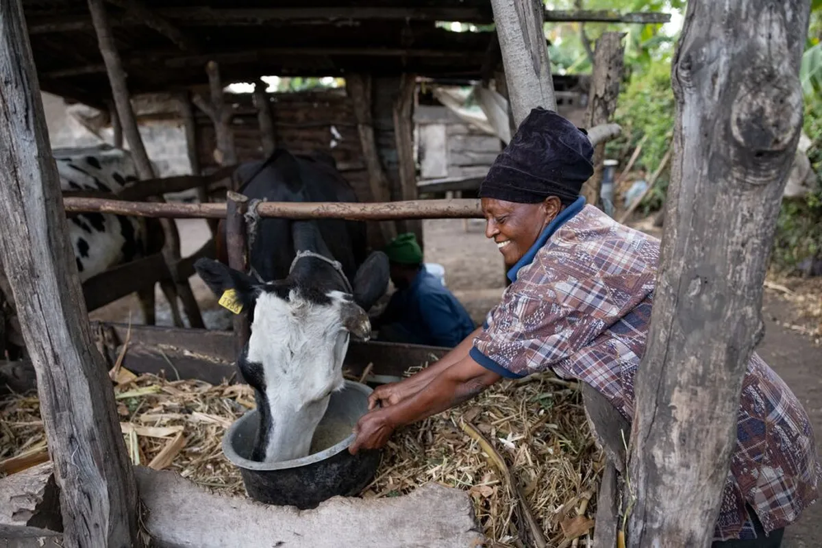 medium-HANDINHAND4_TANZANIA_2023_100.jpg