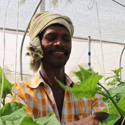 Header-card-Kheyti-A-revolutionary-greenhouse-01.jpg