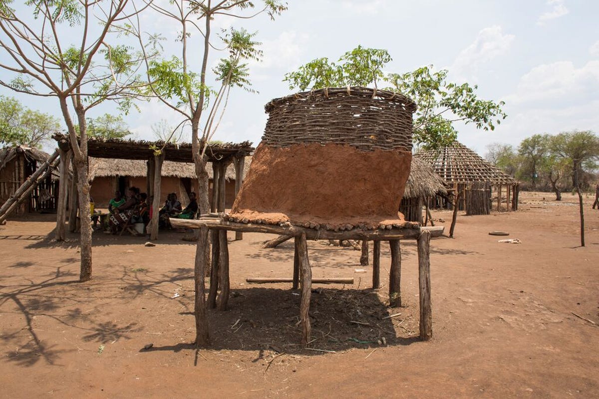medium-WFP_MOZAMBIQUE_2015_075.jpg