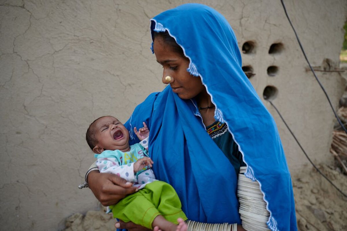 medium-WFP_PAKISTAN_2022_1.jpg