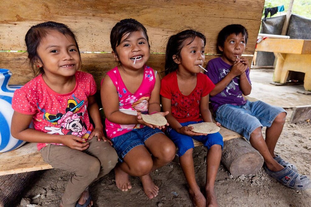 medium-SEMILLA_NUEVA_GUATEMALA_2016-2024_7.jpg